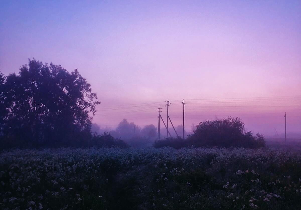 WTA罗马赛名单公布:萨巴伦卡领衔,郑钦文、王欣瑜入围